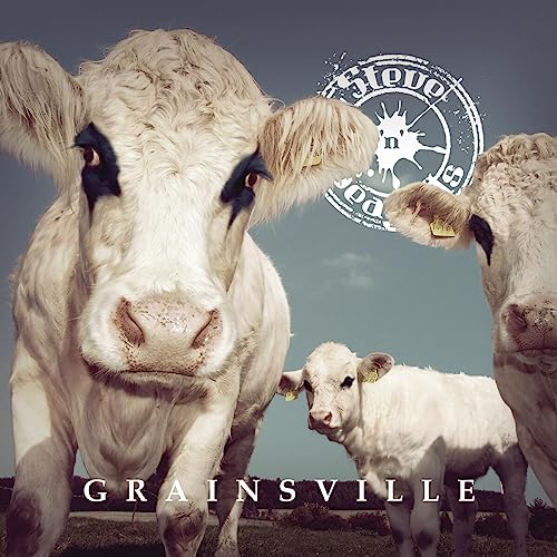 Steve'n'Seagulls - Grainsville - New CD