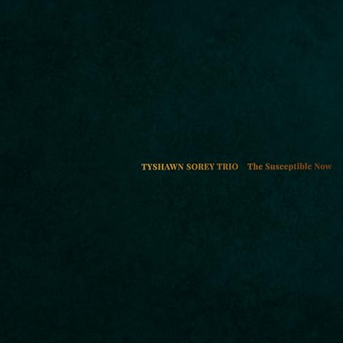 Tyshawn Sorey - Susceptible Now - New Vinyl Record