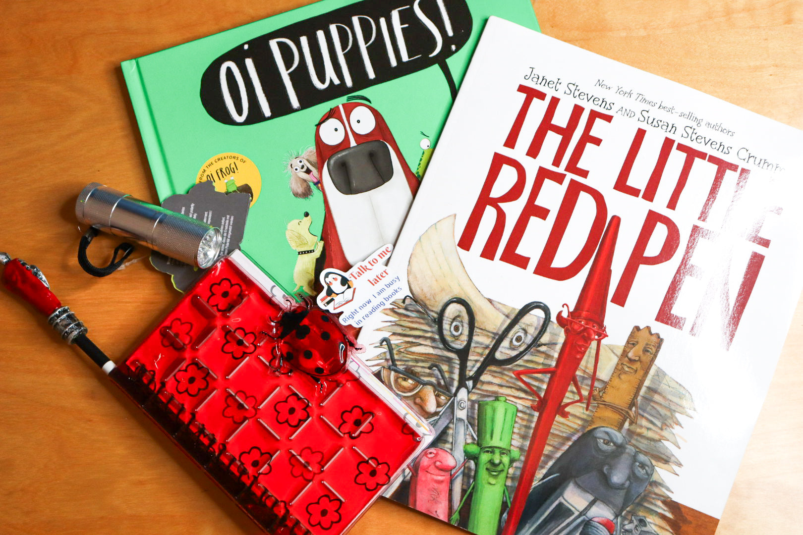 Little Literates Book Box Gift for Kids 4 - 7 years old | Christmas Gifts | Birthday Gifts | Hug in a Box for Children | Bookworm Gifts